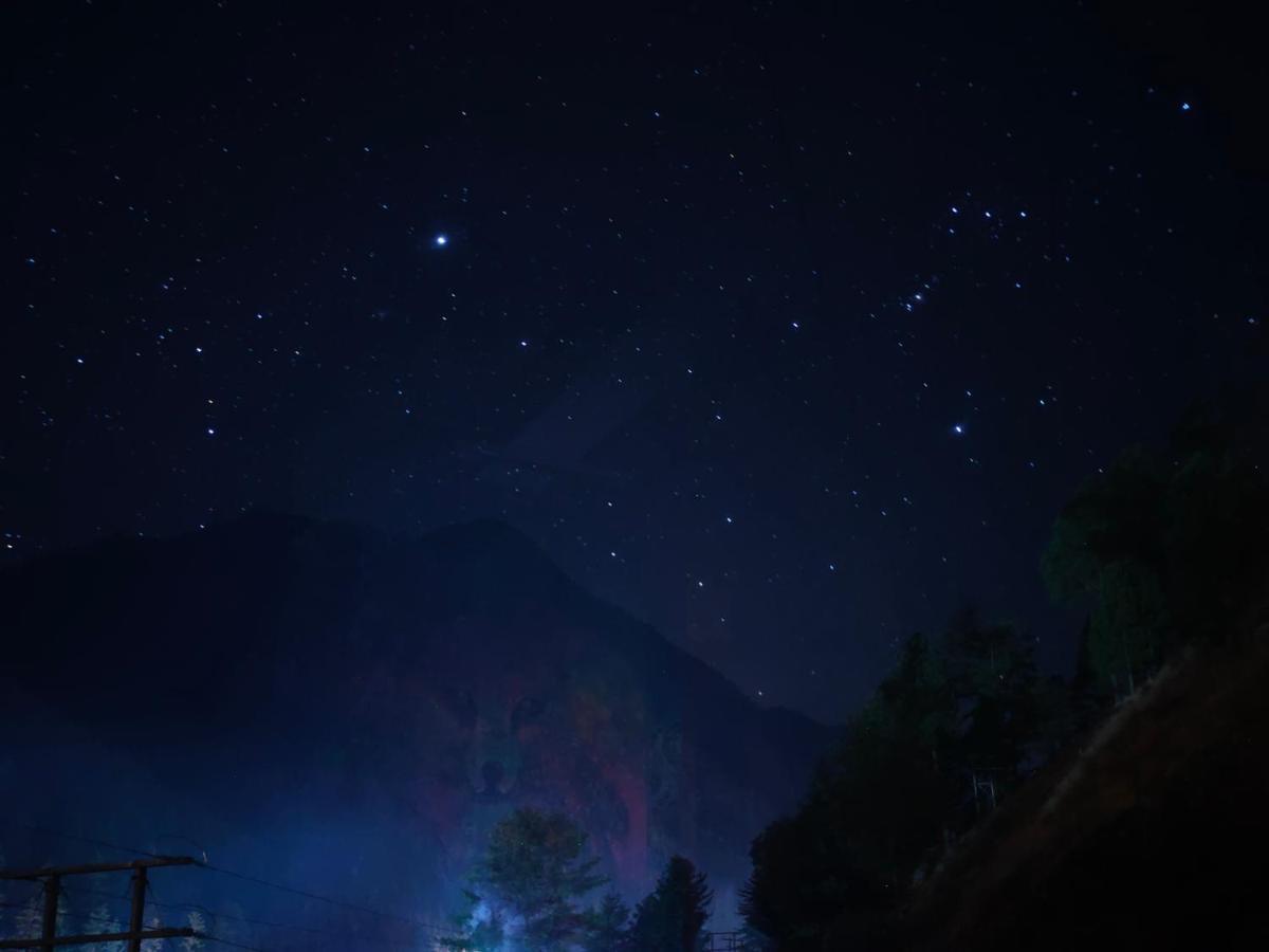 Snow View Guest House Kasol Kültér fotó