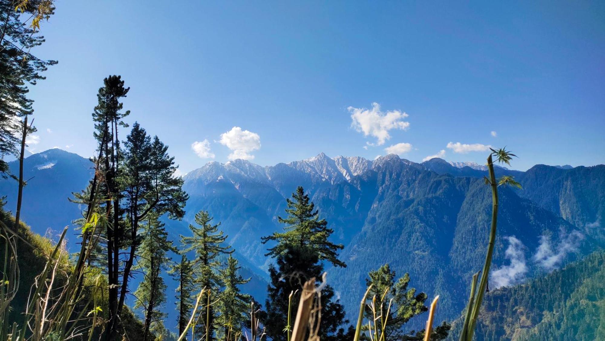 Snow View Guest House Kasol Kültér fotó