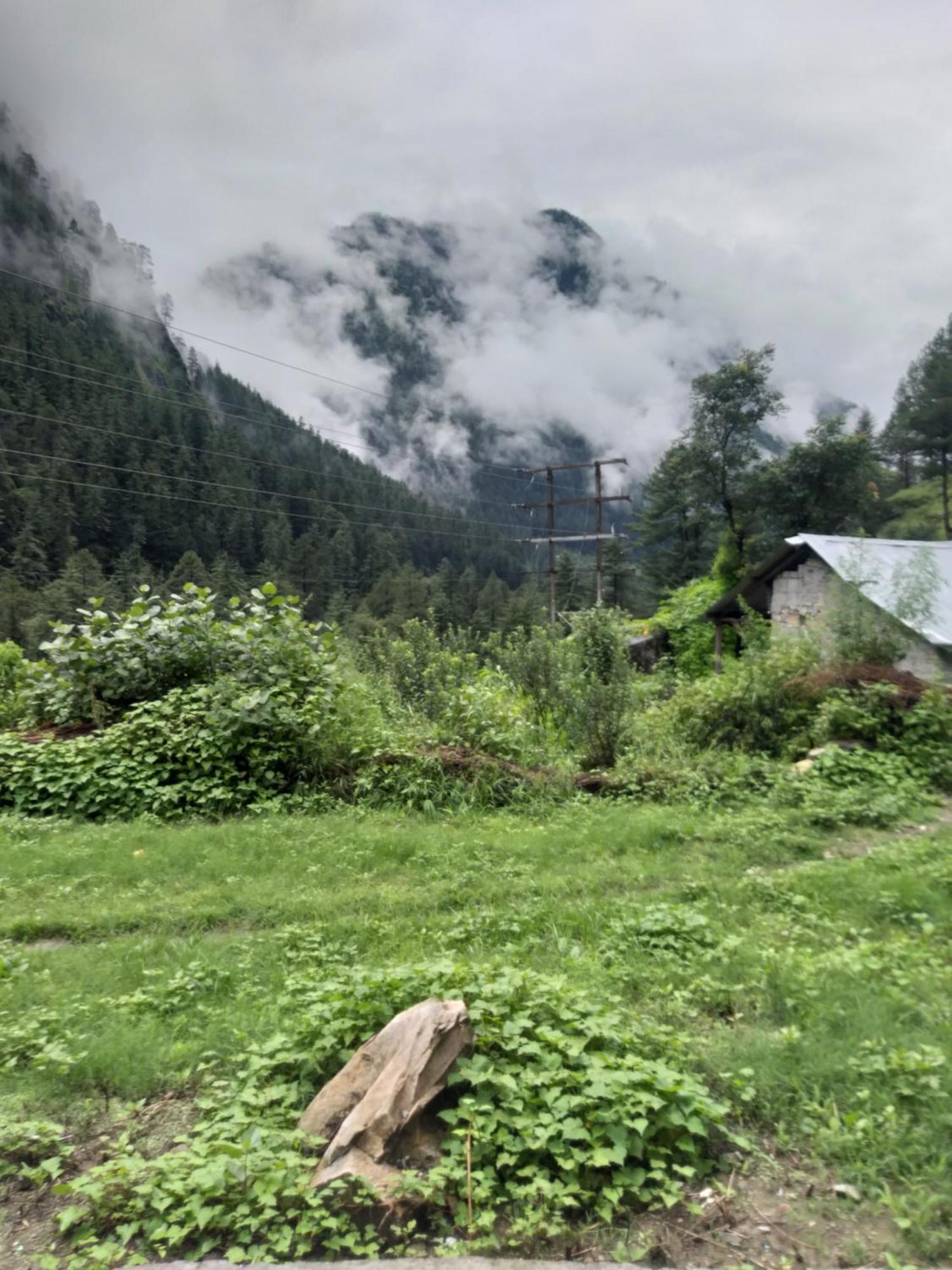 Snow View Guest House Kasol Kültér fotó