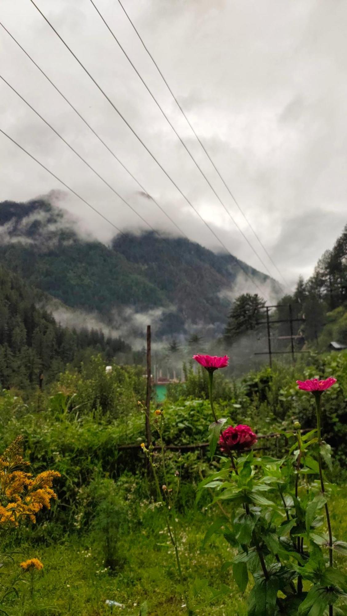 Snow View Guest House Kasol Szoba fotó